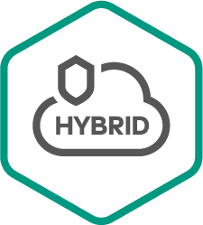 k_Hybrid_Cloud_Security_rus_black_icon